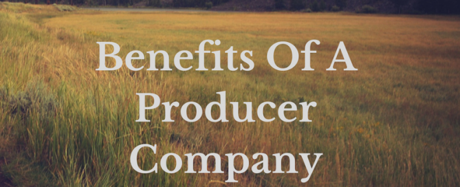 benefits of a producer companies