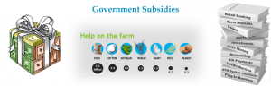 Government subsidies to MSME