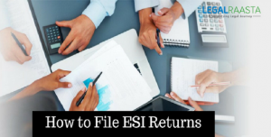 How to File ESI Returns