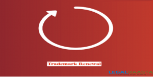 What is the process for renewal of trademark?
