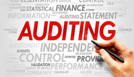 Audit and Auditors