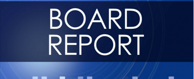 Board Reports for OPC and Small Company