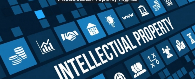 Intellectual Property Rights
