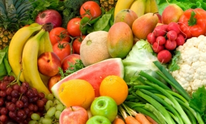 APEDA Registration | Procedure of filing & tracking application | Benefits | Functions |