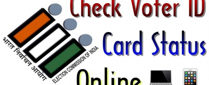 Voter ID status