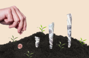 Startup Funding Options: How to raise capital for your Startup