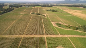 Bhoomi – Karnataka Land Records Online (RTC)