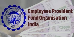 How to use EPFO E-Sewa portal?
