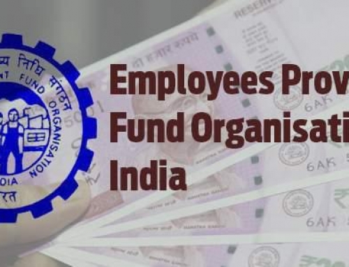 How to use EPFO E-Sewa portal?