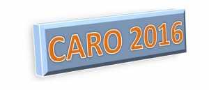 CARO 2016: Requirements of "Companies Auditor Report Order"