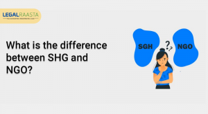 What is the Difference Between SHG and NGO?