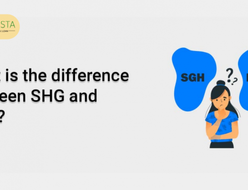 What is the Difference Between SHG and NGO?