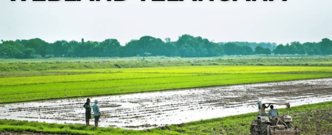 Webland Telangana – Login and Application Procedure