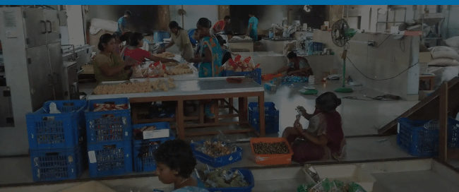 Cottage Industries in India