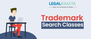 Trademark Search Classes