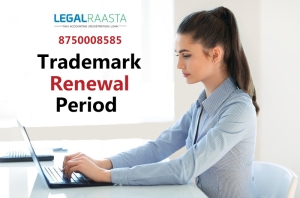 Trademark Renewal Period
