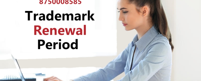 Trademark Renewal Period