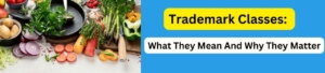 Trademark Classes: What They Mean and Why They Matter