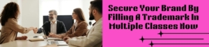 Secure Your Brand by Filling a Trademark in Multiple Classes Now