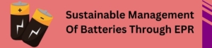 Sustainable Management Of Batteries Through EPR
