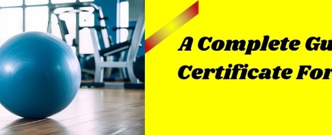 Guide On EPR Certificate For Gym Balls