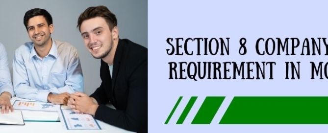 Section 8 Company Registration Requirement In Modern Market