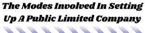 The Modes Involved In Setting Up A Public Limited Company