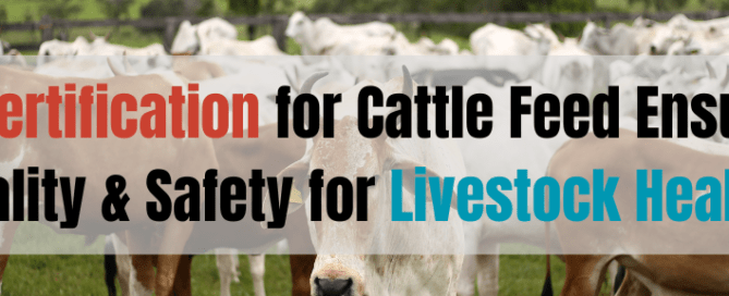BIS Certification for Cattle Feed Ensures Quality & Safety for Livestock Health