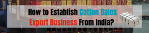 How to Establish Cotton Bales Export Business From India?