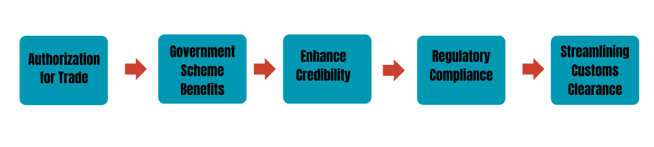 Importance of RCMC Registration for Importers