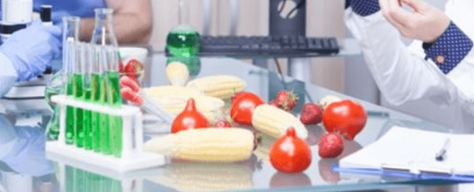 GMP Certification in Food and Pharma
