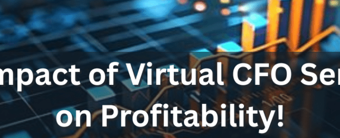 Virtual CFO Services