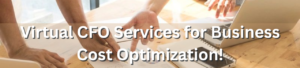 Virtual CFO Services for Business Cost Optimization!