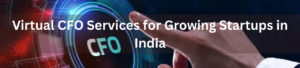 Virtual CFO Services for Growing Startups in India!