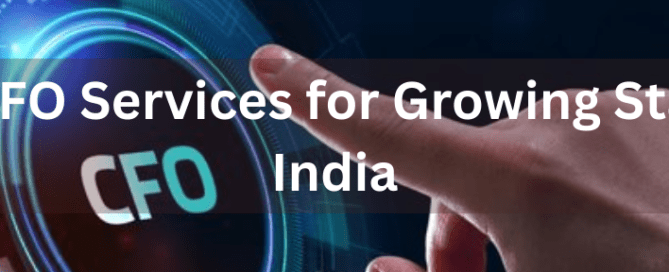 Virtual CFO Services