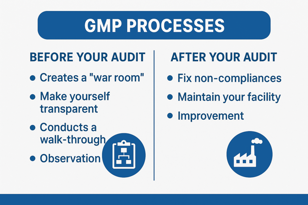 GMP Processes
