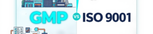 GMP vs. ISO 9001: Understanding the Key Differences for Your Business!