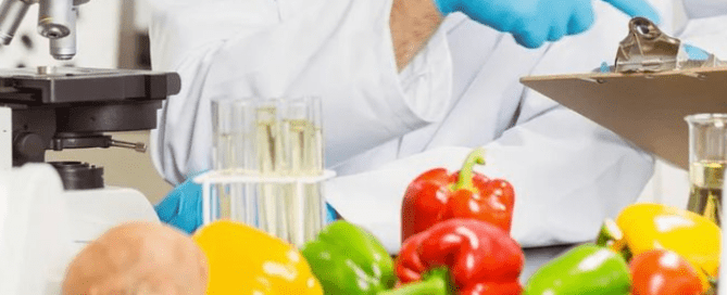 GMP Certification in India