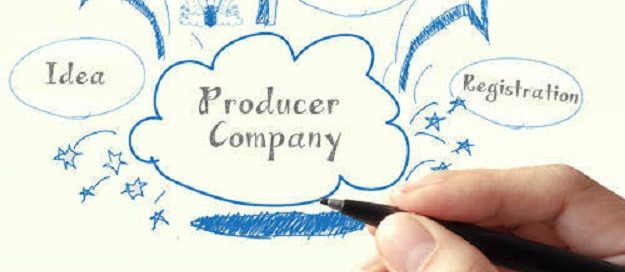 Indian Producer Company